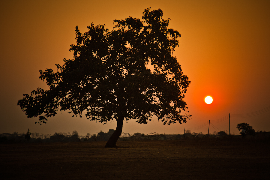 africa-blog-1062