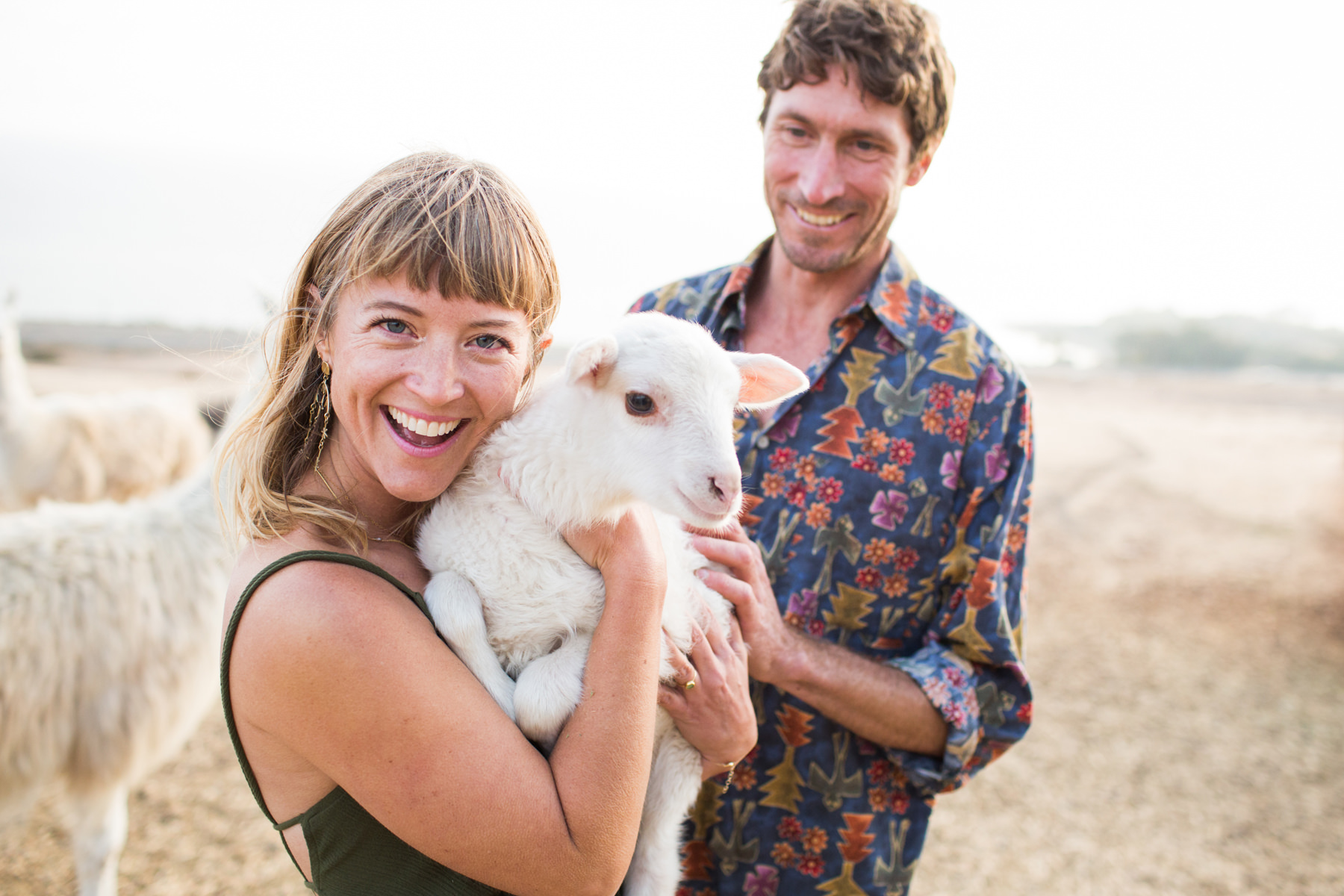 Llama Engagement Photos