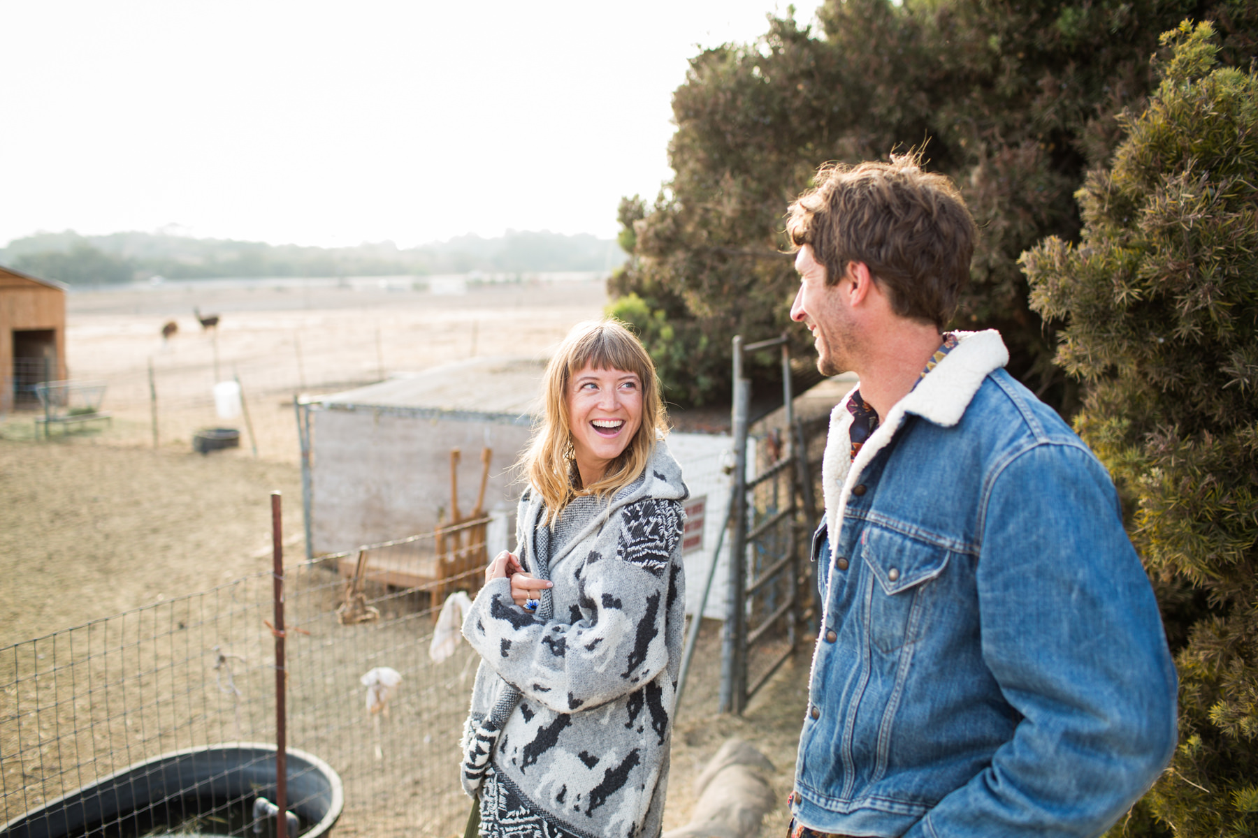 Llama Engagement Photos