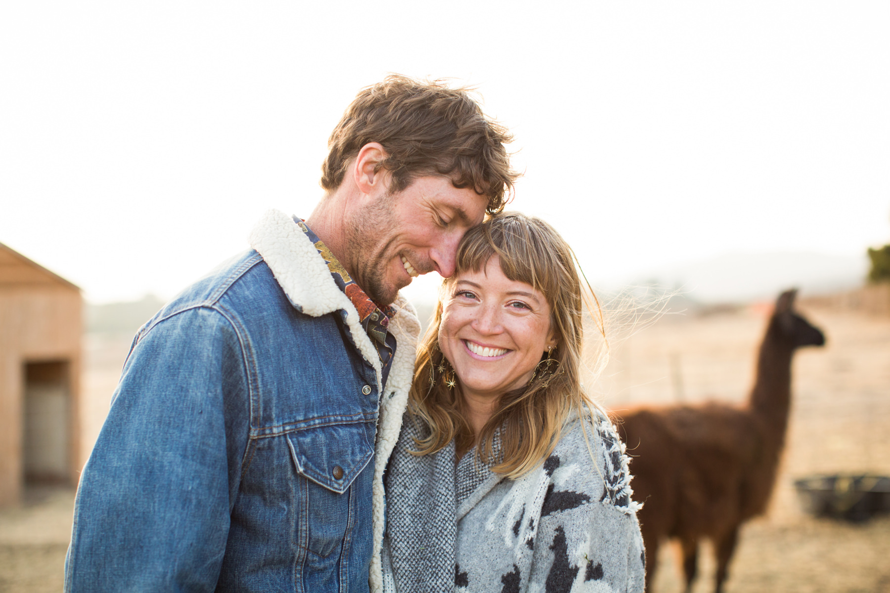 Llama Engagement Photos