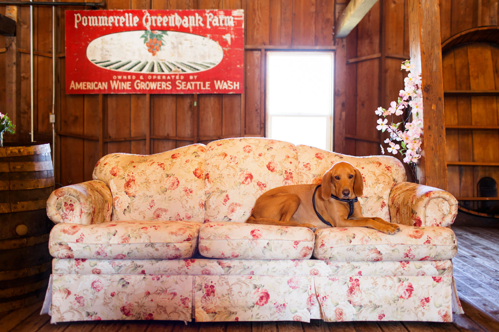 Greenbank Farm Wedding Photos