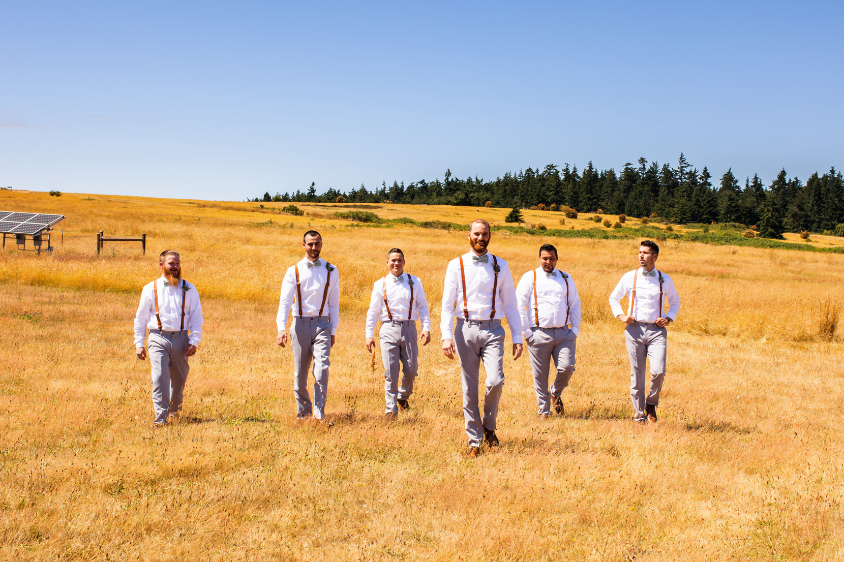 Greenbank Farm Wedding Photos