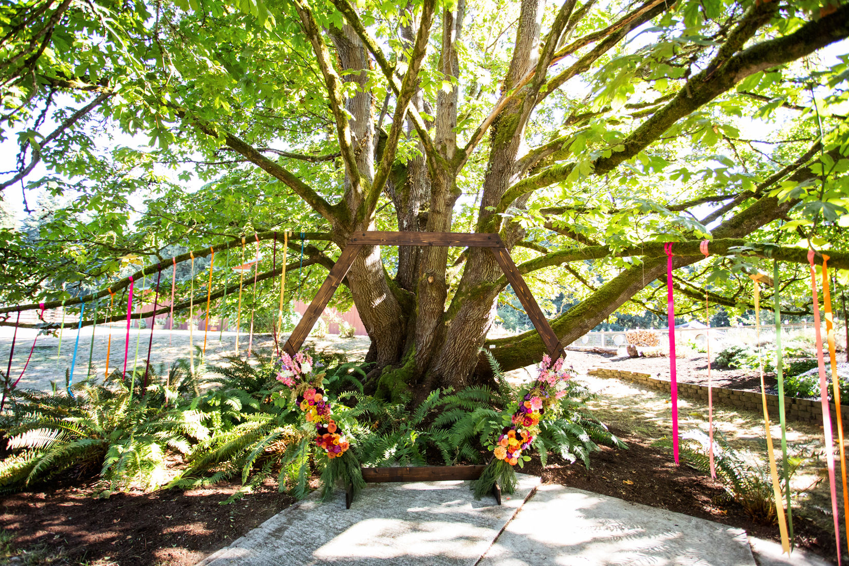 Private Whidbey Island Wedding Photos