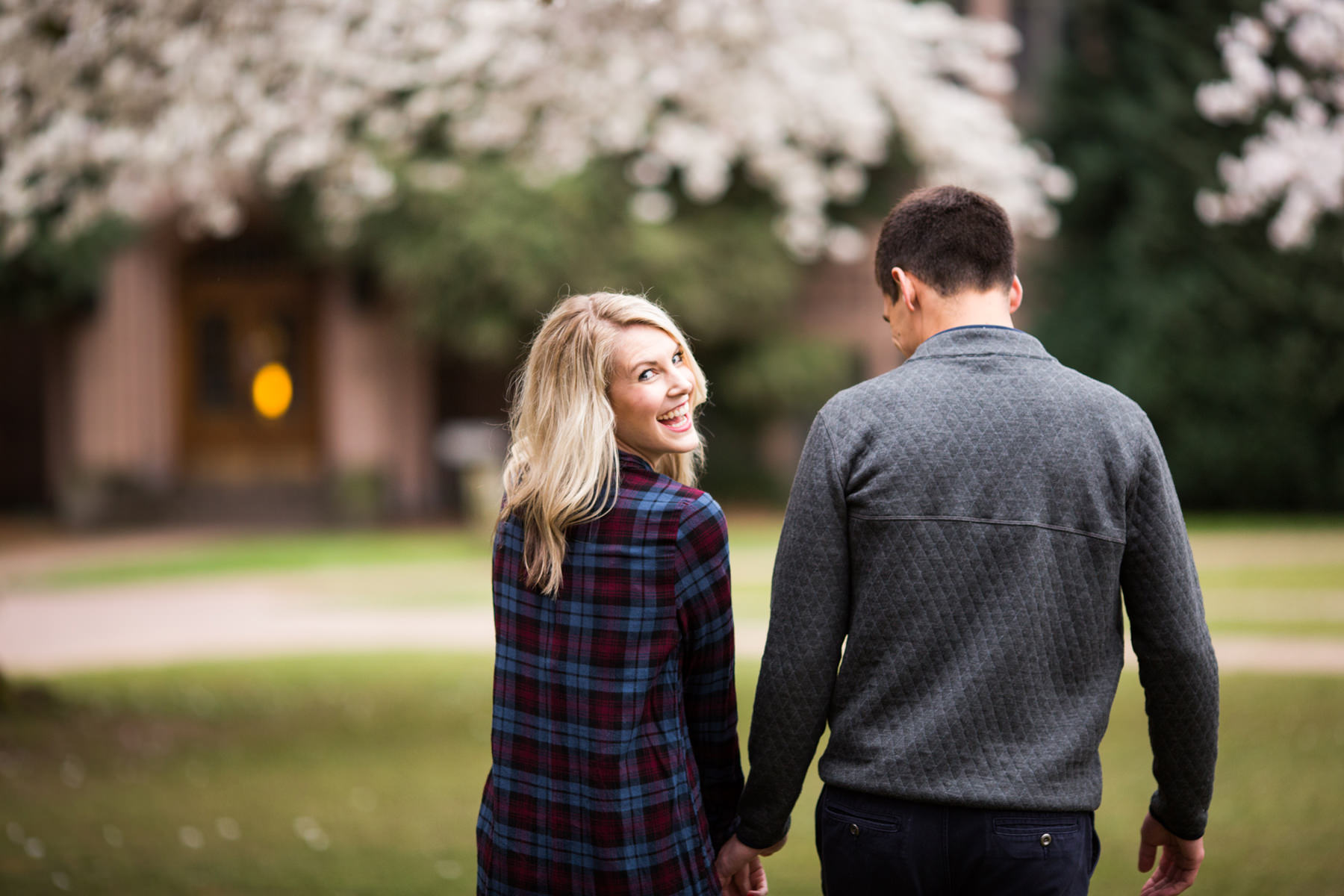 University Of Washington Cherry Blossom Photos