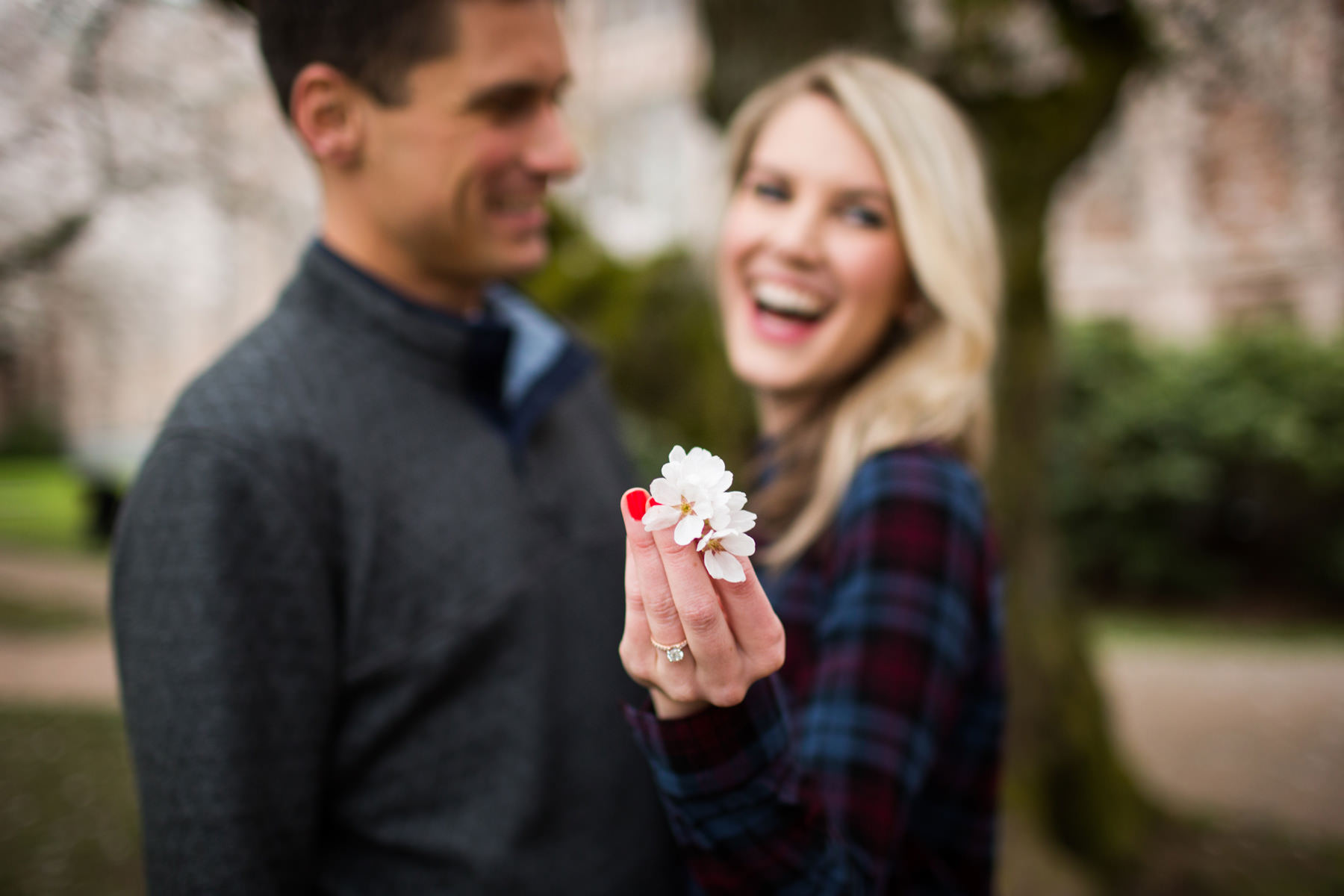 University Of Washington Cherry Blossom Photos