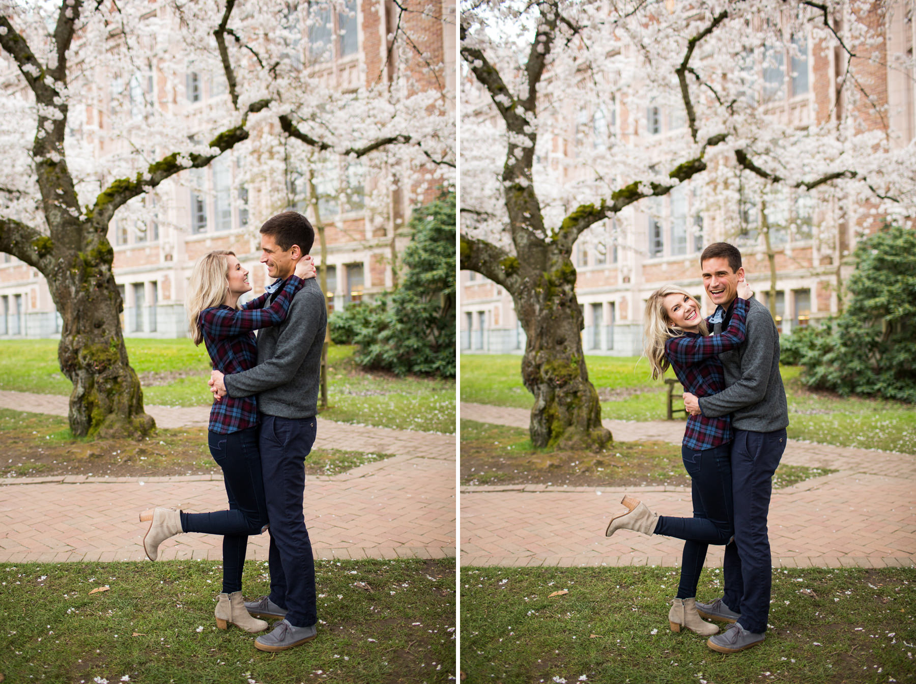 University Of Washington Cherry Blossom Photos