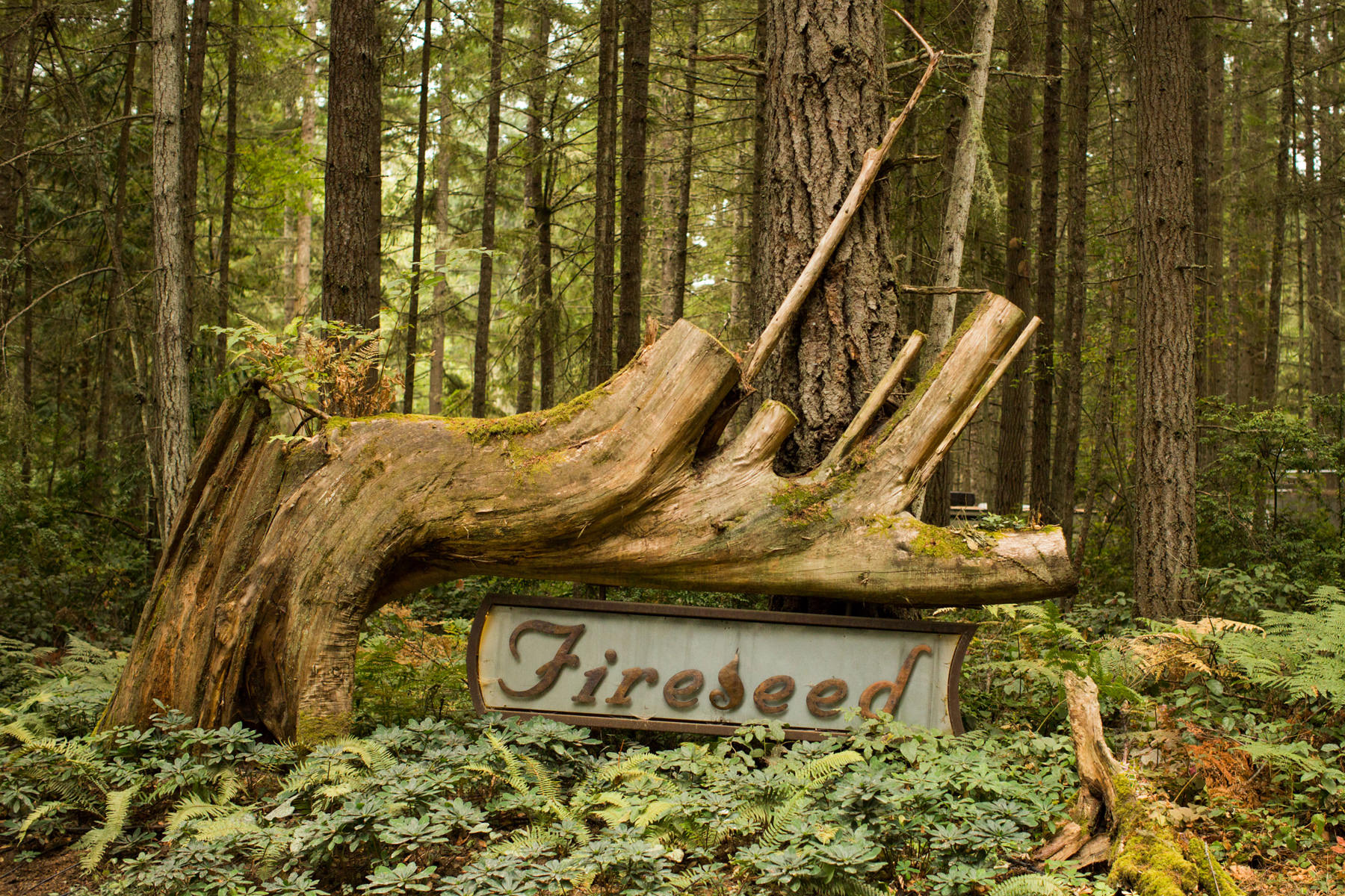 Fireseed Catering Wedding Photos