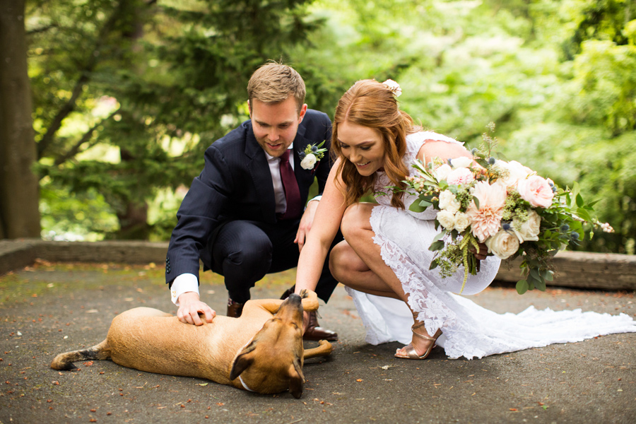 JM Cellars Wedding Photos Dog Wedding