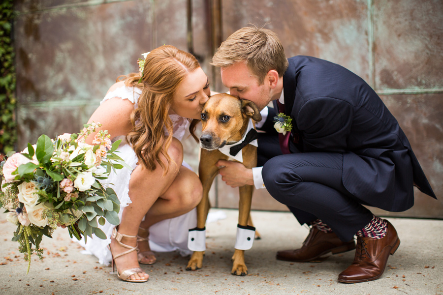 JM Cellars Wedding Photos