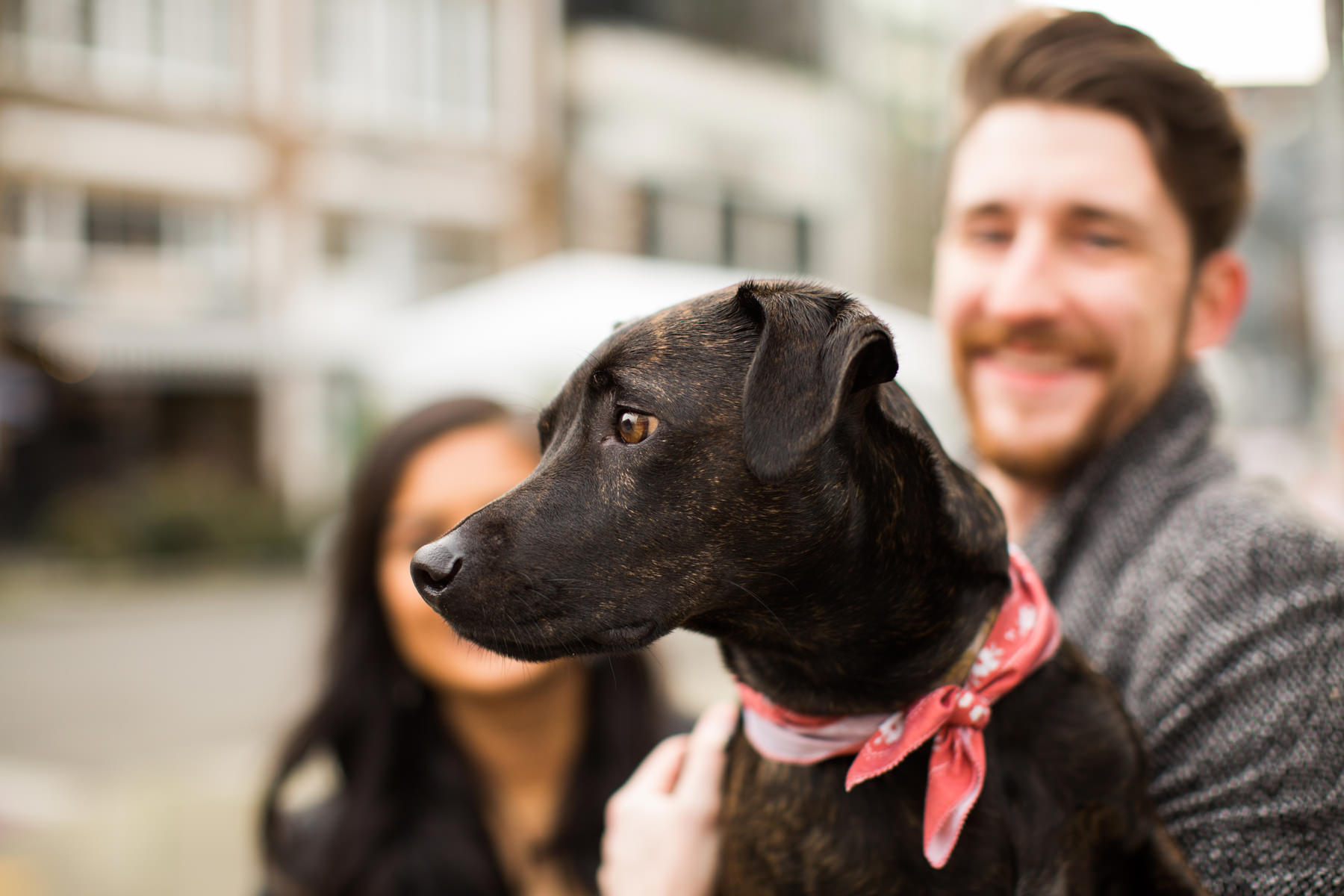 Alaena + Tucker :: Capitol Hill Seattle Engagement :: Dog Engagement ...